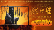 台湾佬中文综合