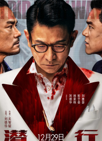 一级少妇毛片