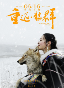 不是你的